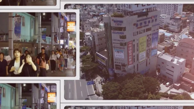 UTV(울산매일) 특집 뉴스