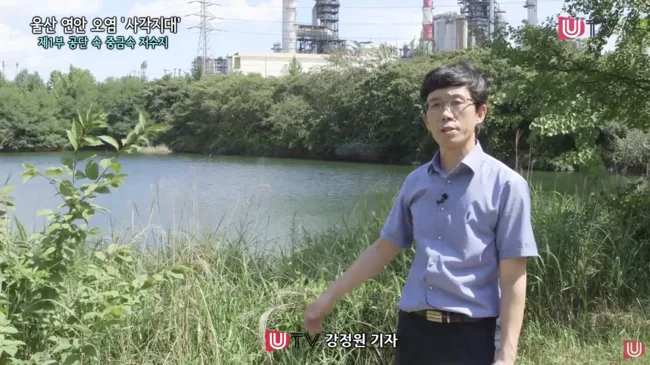 UTV(울산매일) 특집 뉴스