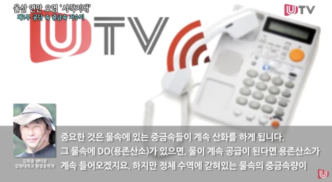 UTV(울산매일) 특집 뉴스