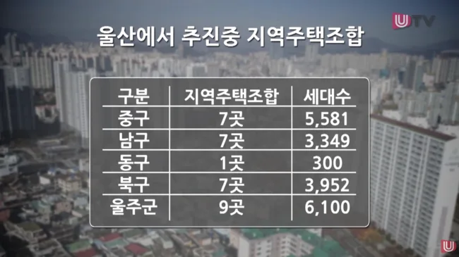 UTV(울산매일) 특집 뉴스