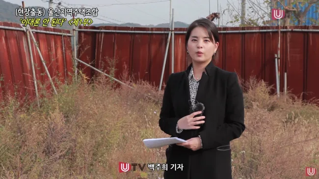 UTV(울산매일) 특집 뉴스