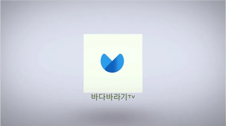 2019 바다바라기 대게맘 유튜브