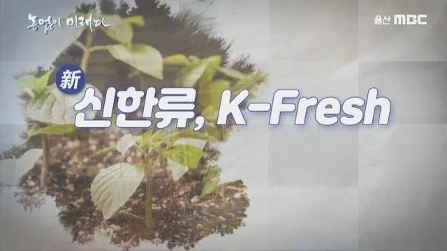 다큐 농업이 미래다 신한류 K-fresh[MBC 2019.09]