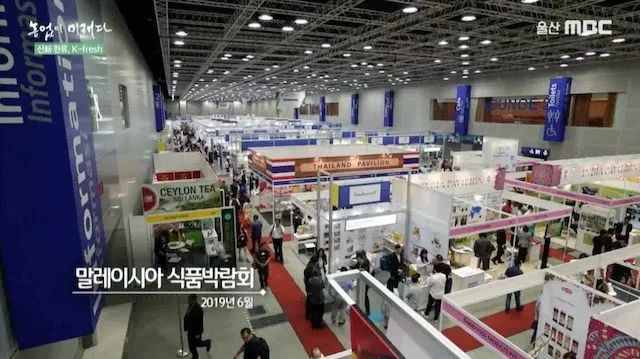 다큐 농업이 미래다 신한류 K-fresh[MBC 2019.09]