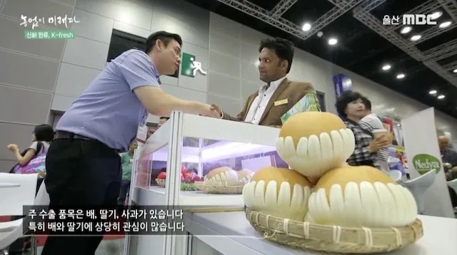 다큐 농업이 미래다 신한류 K-fresh[MBC 2019.09]