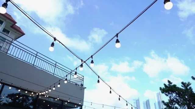 2019 칼스버그x오킴스가든 이벤트 바이럴영상