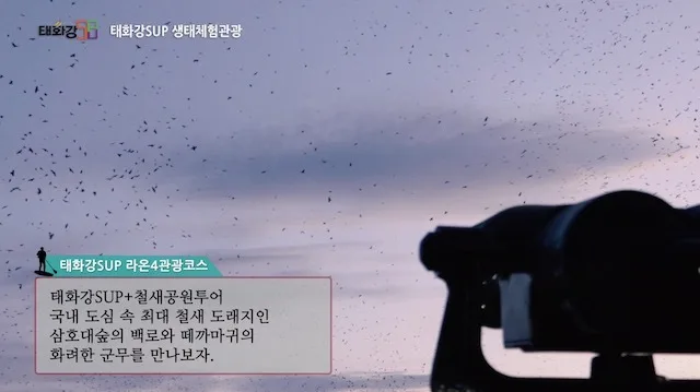 2019 태화강sup 홍보영상