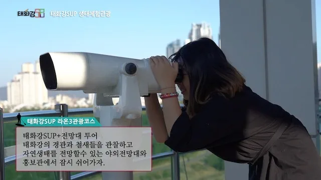 2019 태화강sup 홍보영상
