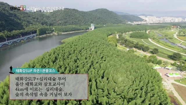 2019 태화강sup 홍보영상