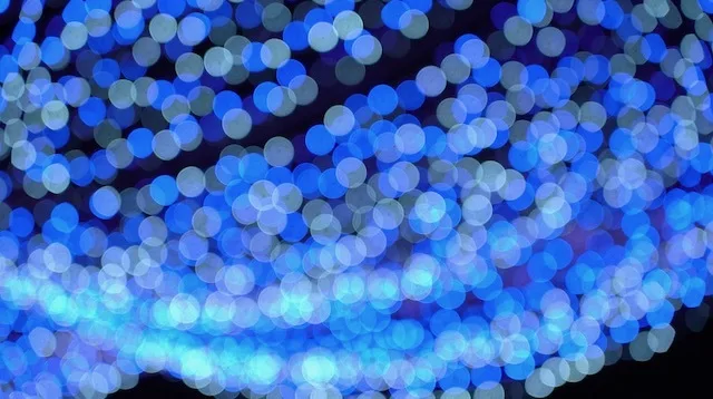 2019 울산 빛축제 기록영상