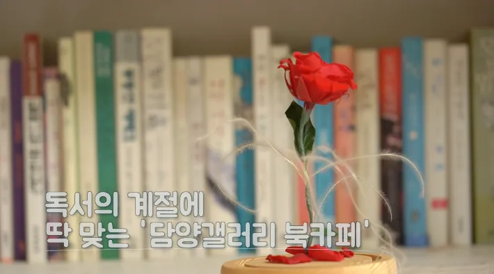 전남청년마을로프로젝트