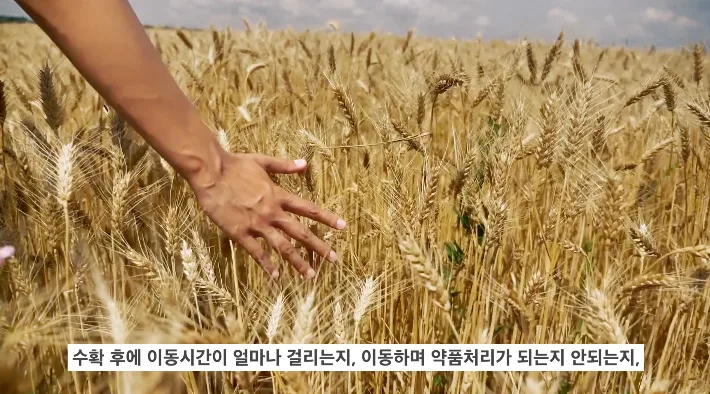 전남청년마을로프로젝트