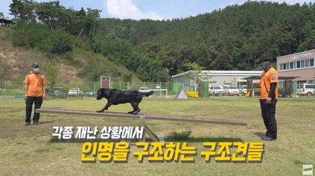 울산MBC 액션캠