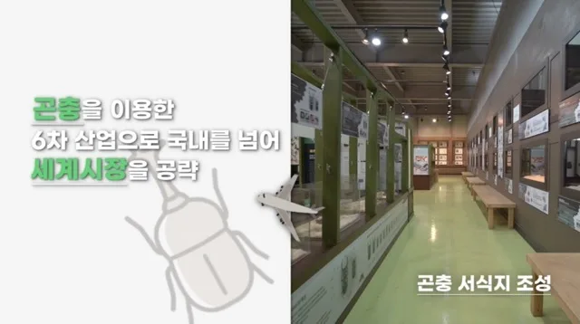 울산MBC 캠페인 같이 가치삽시다