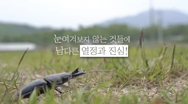 울산MBC 캠페인 같이 가치삽시다