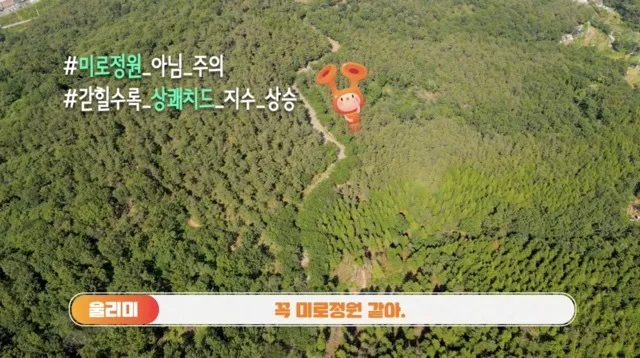 해돋이 동구 문화로 한바퀴