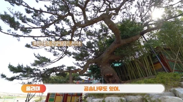 해돋이 동구 문화로 한바퀴