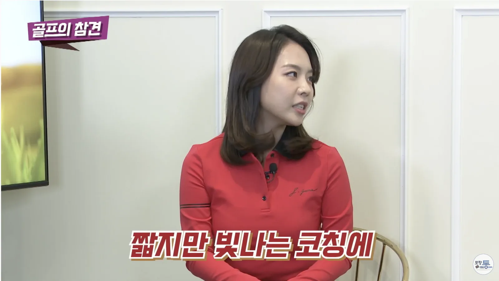 골프의 참견