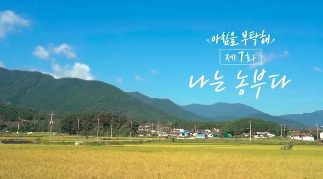 울산MBC 아침을부탁해