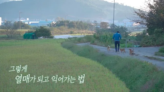 울산MBC 아침을부탁해